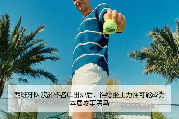 西班牙队欧洲杯名单出炉后，谁稳坐主力谁可能成为本届赛事黑马